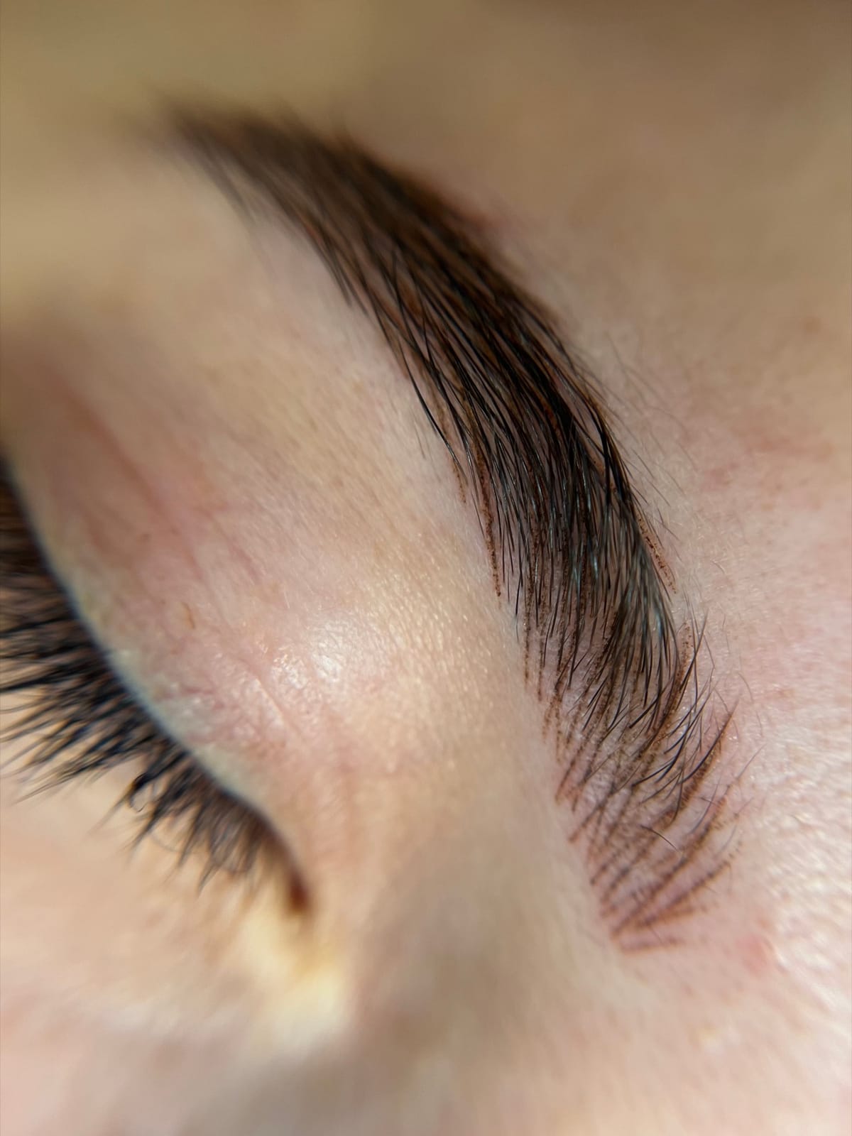 Detalle de cejas pelo a pelo